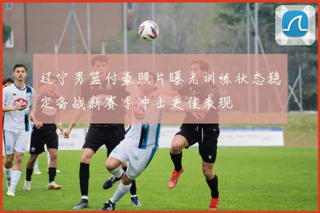 辽宁男篮付豪照片曝光训练状态稳定备战新赛季冲击更佳表现