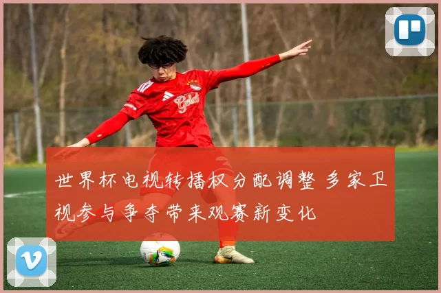世界杯电视转播权分配调整 多家卫视参与争夺带来观赛新变化