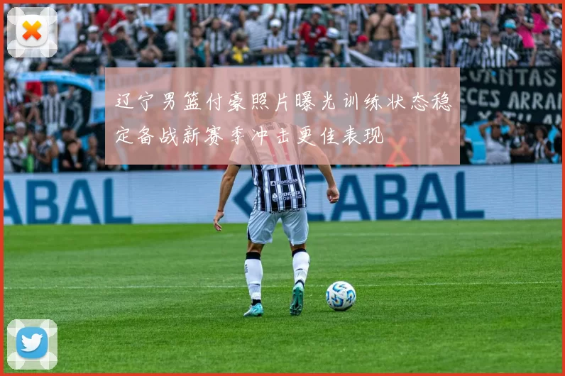 辽宁男篮付豪照片曝光训练状态稳定备战新赛季冲击更佳表现