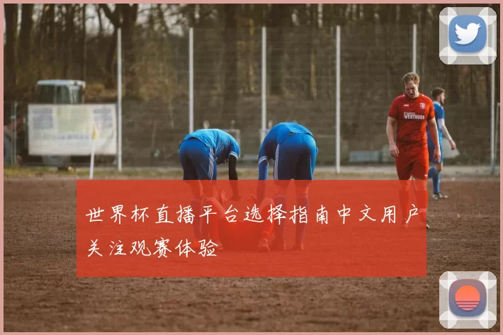 世界杯直播平台选择指南中文用户关注观赛体验