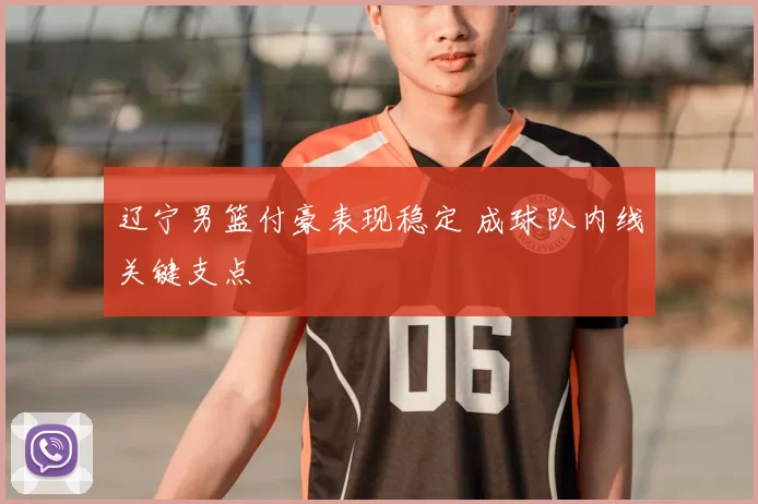 辽宁男篮付豪表现稳定 成球队内线关键支点