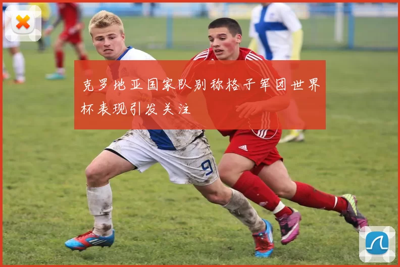 克罗地亚国家队别称格子军团世界杯表现引发关注