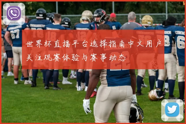 世界杯直播平台选择指南中文用户关注观赛体验与赛事动态