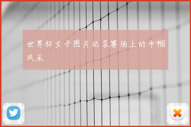 世界杯女子图片记录赛场上的巾帼风采