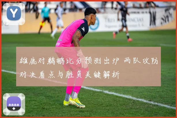 雄鹿对鹈鹕比分预测出炉 两队攻防对决看点与胜负关键解析
